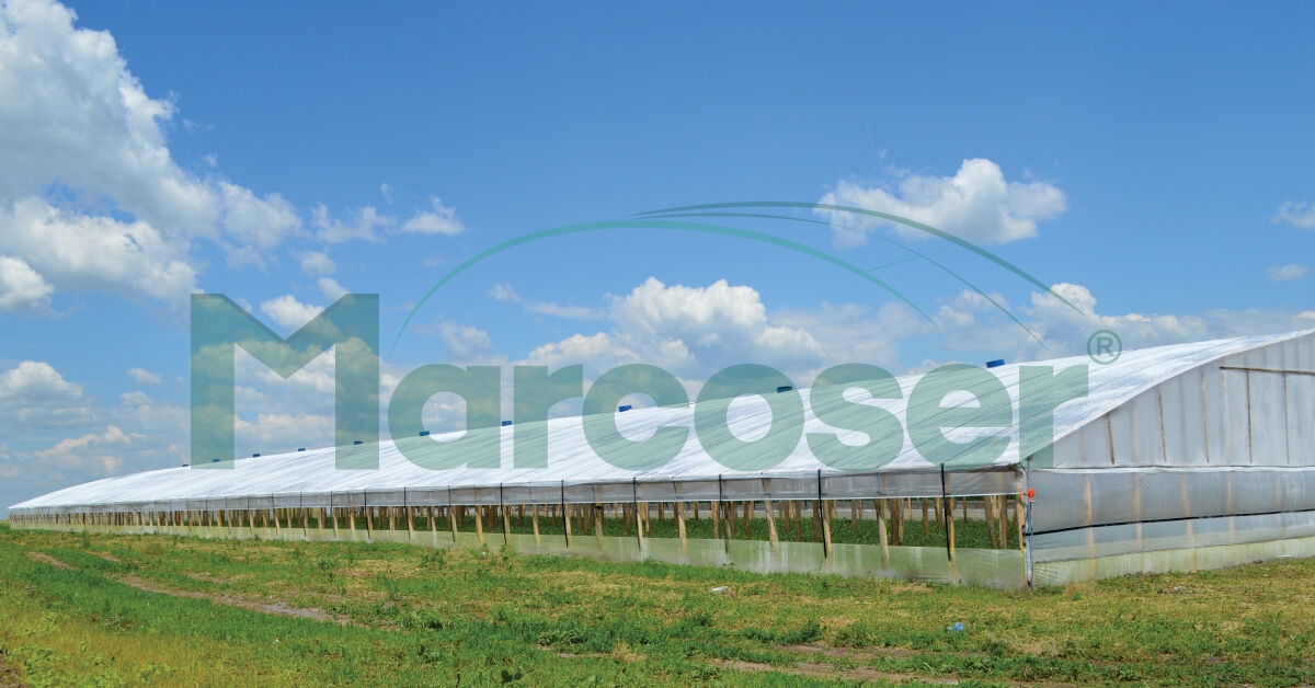 Ce tip de folie sa alegem pentru solarul nostru