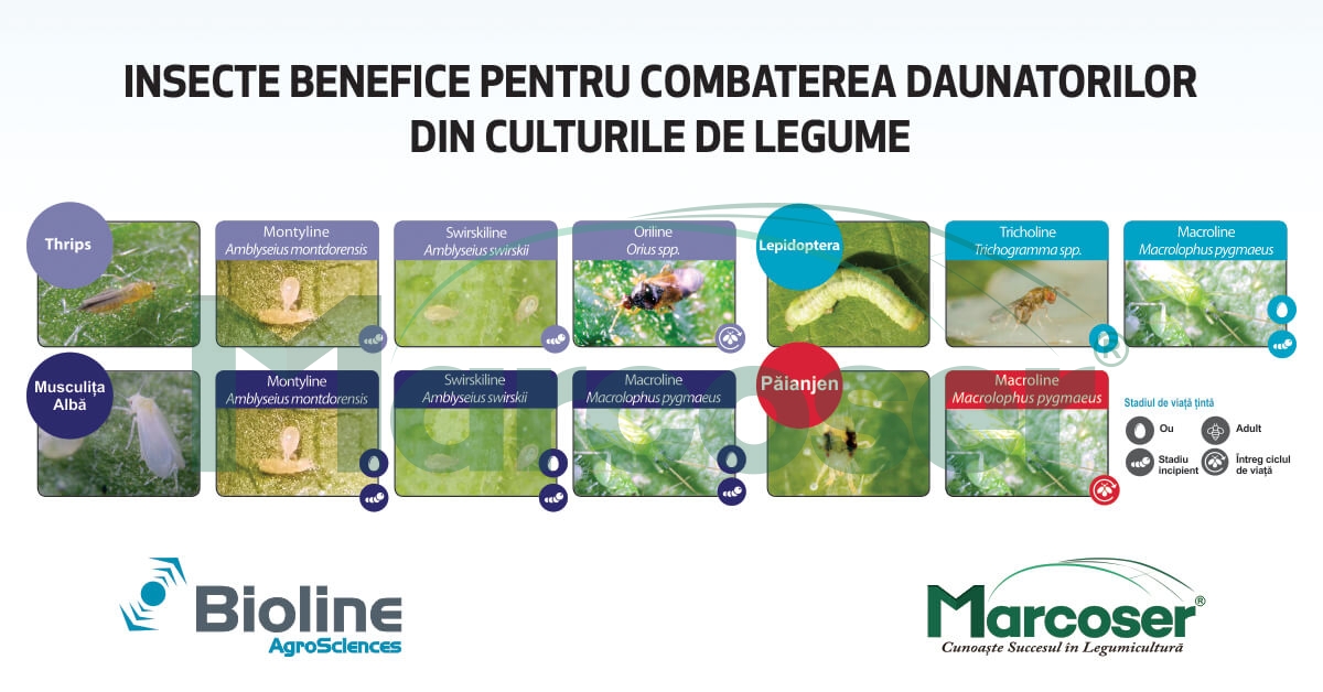 Bioline – gama pentru combaterea biologica a daunatorilor