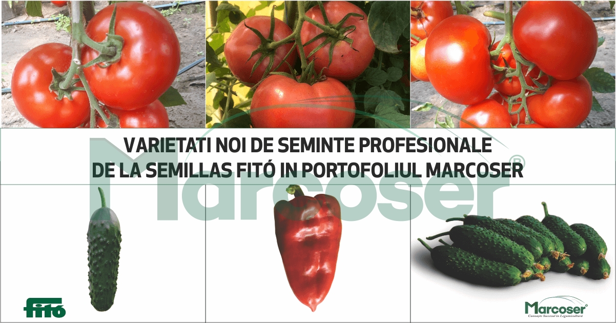 Varietati noi de seminte profesionale de la Semillas Fito