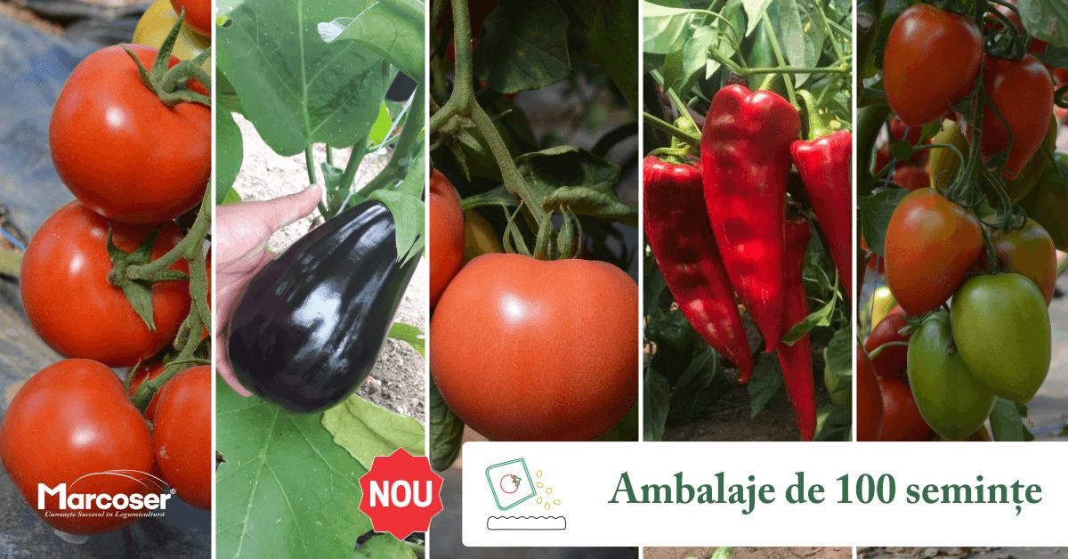 Seminte profesionale de legume la ambalaje de 100 de seminte