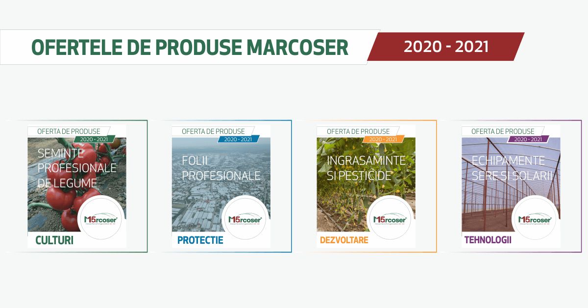 Am lansat cataloagele digitale de produse 