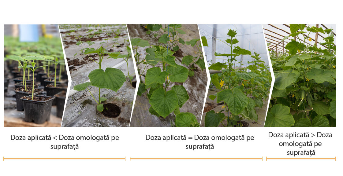 Dozarea si aplicarea foliara a produselor de protectie a plantelor