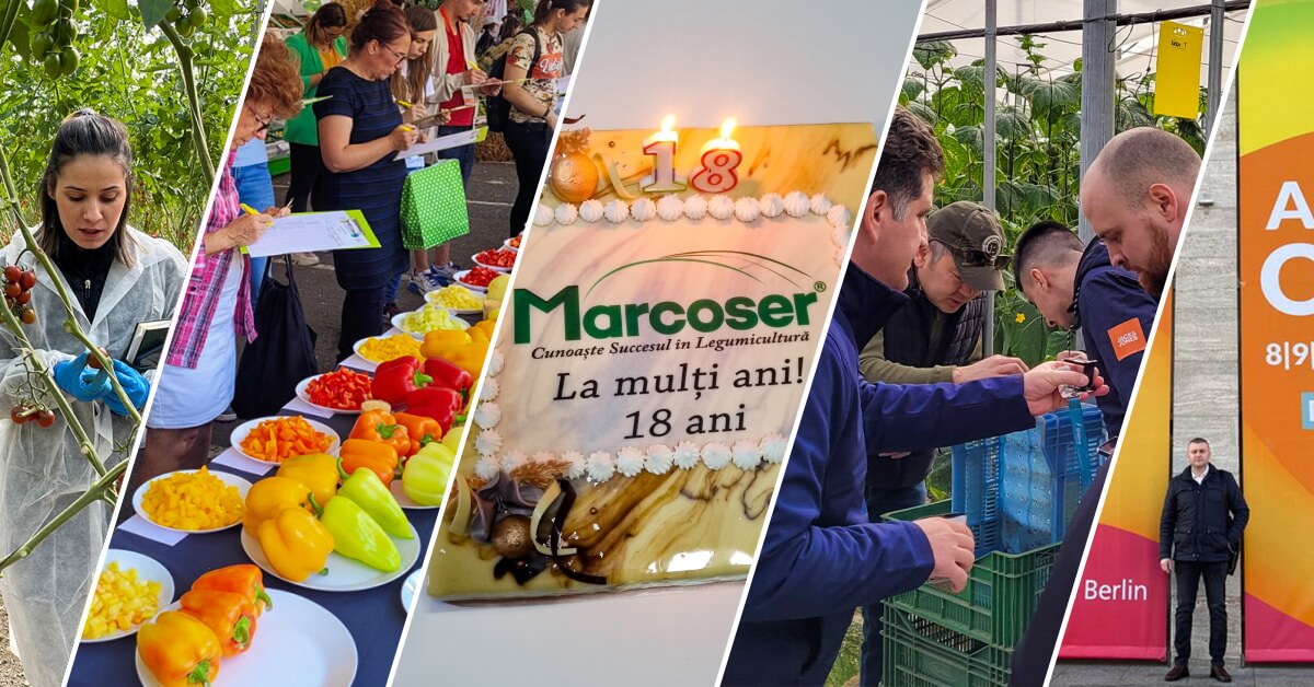 Retrospectiva evenimentelor anului 2023 la Marcoser
