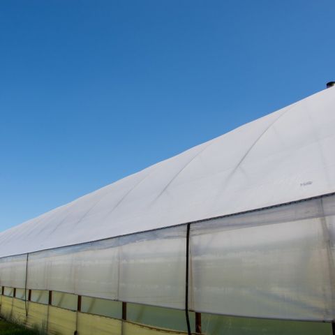 FOLIE DE ACOPERIRE SOLAR DE 170μ