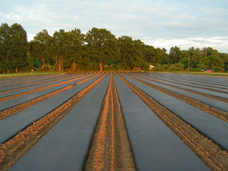 AGROTEXTIL