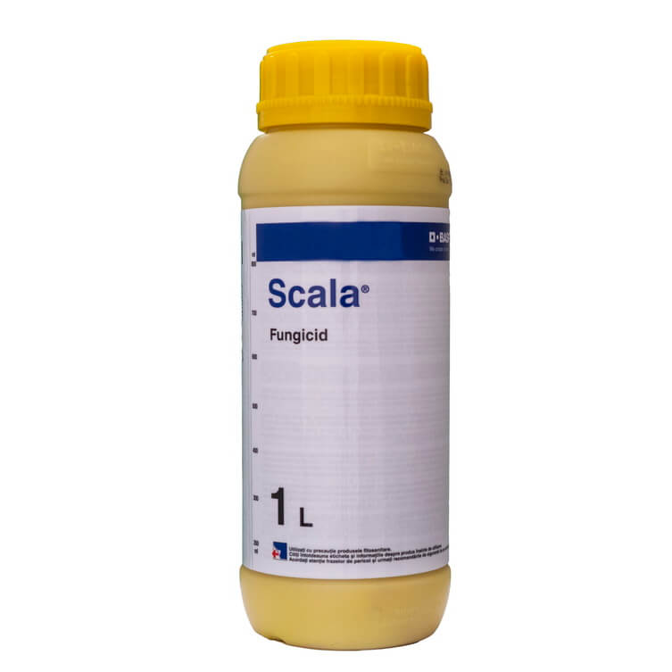 SCALA FUNGICID